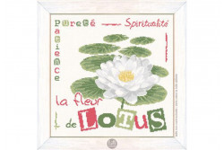 fleur-de-lotus-J018.jpg