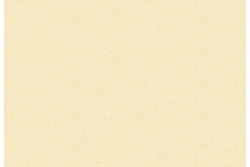 Tissu Essential Tiny Dot Full Cream