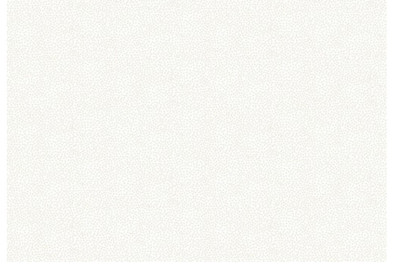302_W1.jpg