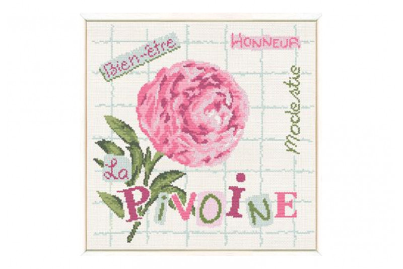 lilipoints-J013.jpg lilipoints-J013.jpg