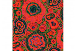 Tissu Kaffe Fassett "Collective" Reed