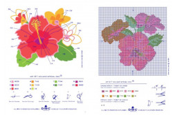 boite-florale-3.jpg