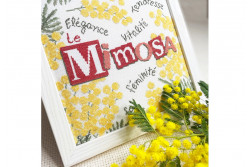 Diagramme point de croix "Le Mimosa"