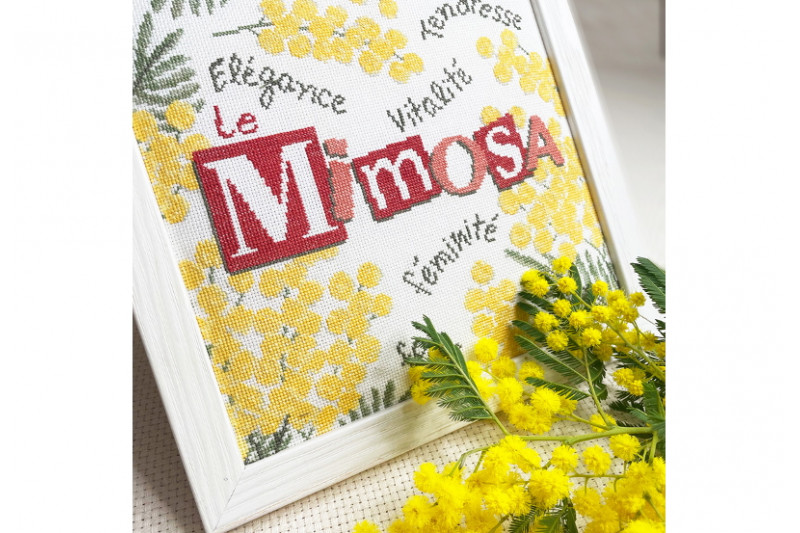 lilipoints-LE-MIMOSAS.JPG