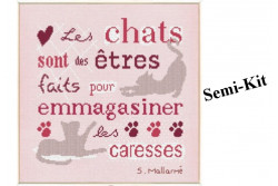 Semi-Kit de Broderie Lilipoints " Les Chats"