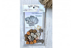 15 Boutons en bois "Collection de citrouilles"