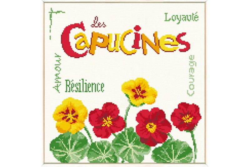 Capucines-J030-1.jpg