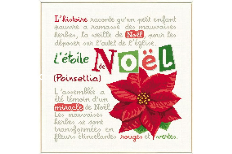noel-2026-n050-1.jpg