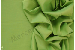 Citron-vert-5725.jpg